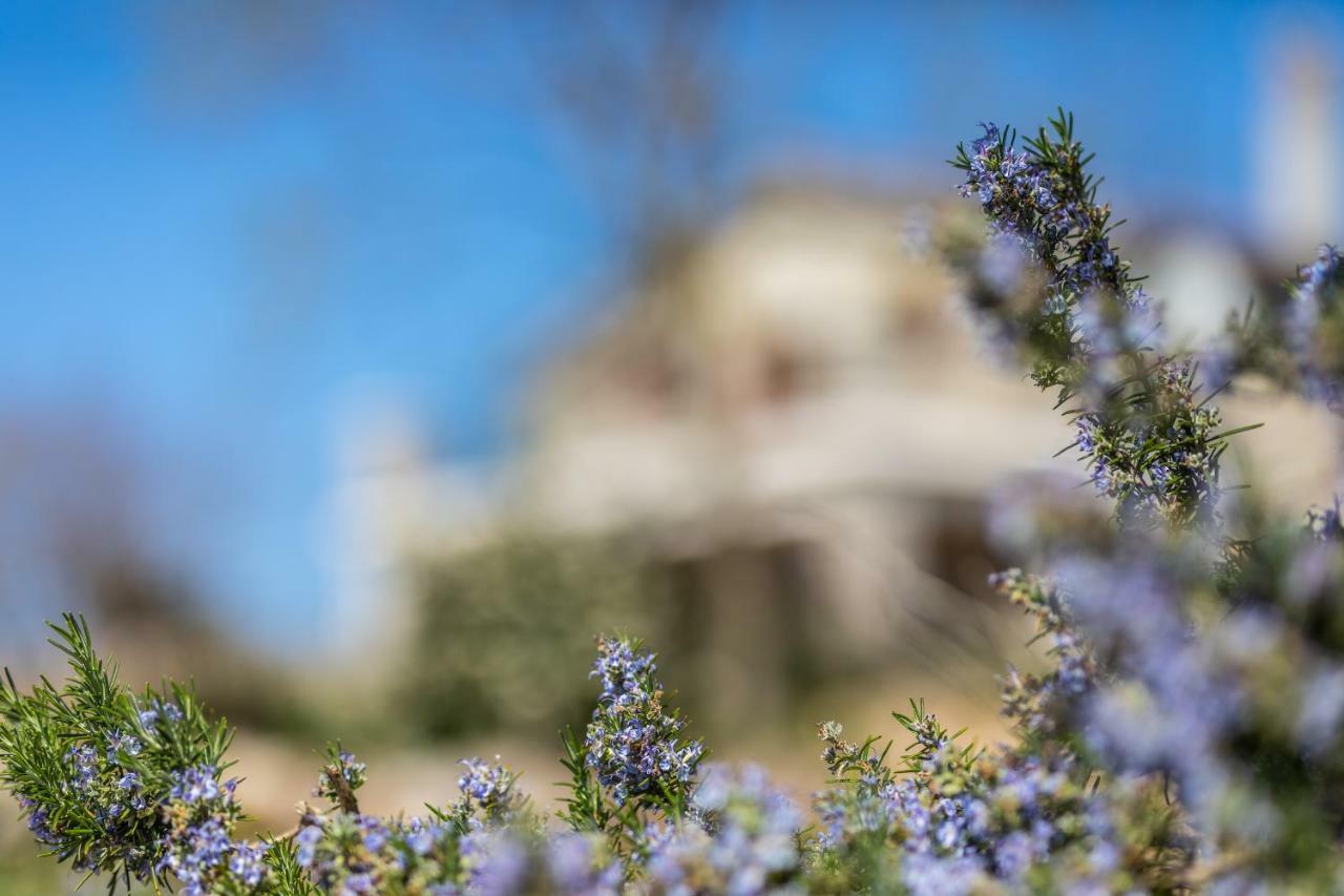 Villa Korina Pinezići Eksteriør bilde